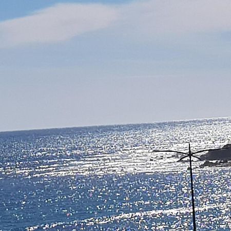 Ajaccio Centre Vieille Ville Imperiale Tt Confort Ttes Commodites 3 A 4 Pers Cathedrale A 300M Mer Port Marche Local Plages Luaran gambar